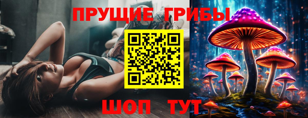 Галлюциногенные грибы GOLDEN TEACHER  Псилоцибиновые грибы ЛСД  Качканар  Вход с VPN 