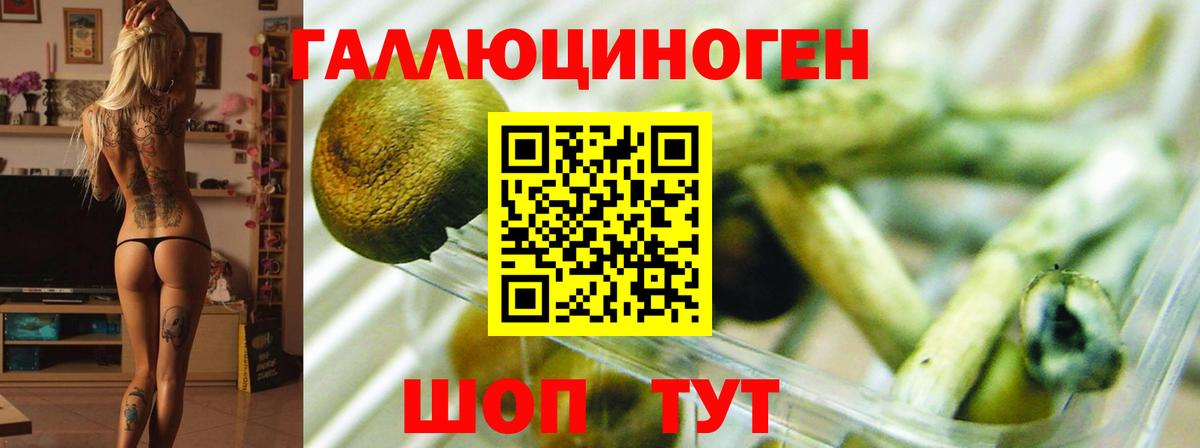 Галлюциногенные грибы мухоморы Качканар